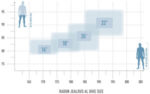 Radon Jealous AL 8.0 – Bild 2